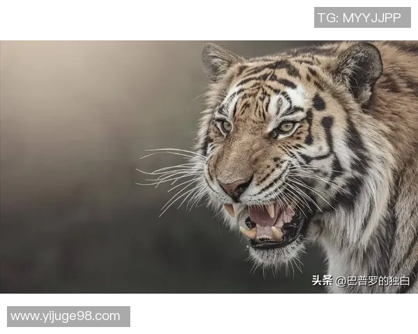 卫报评论英超球队的真实面貌与奢华背后的简单真相