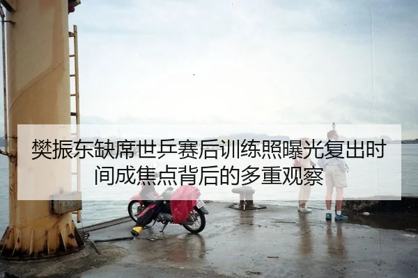 樊振东缺席世乒赛后训练照曝光复出时间成焦点背后的多重观察